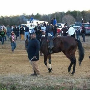 Meet your Posher, Richard